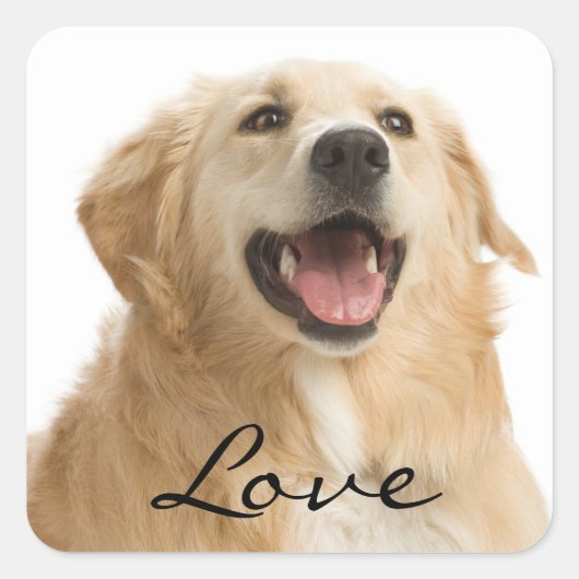 Love Golden Retriever Puppy Dog Stickers (Voorkant)
