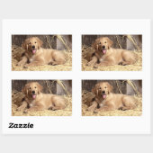 Love Golden Retriever Puppy Dog Stickers (Vel)