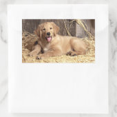Love Golden Retriever Puppy Dog Stickers (Tas)
