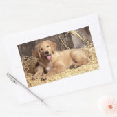 Love Golden Retriever Puppy Dog Stickers (Envelop)
