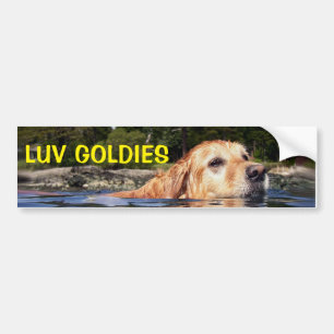Love Golden Retrievers - Bumpersticker