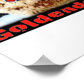 Love Goldendoles Poster (Hoek)