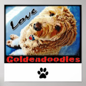 Love Goldendoles Poster (Voorkant)