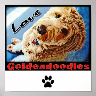 Love Goldendoles Poster