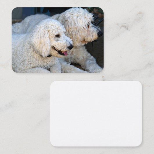 Love Goldendoodles Visitekaartje (Voorkant / Achterkant)