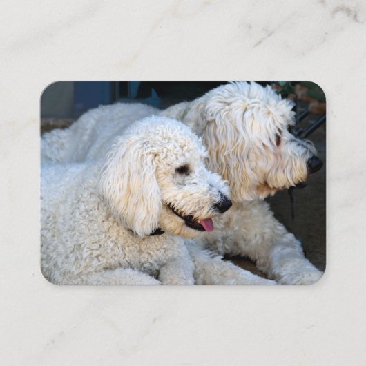 Love Goldendoodles Visitekaartje (Voorkant)