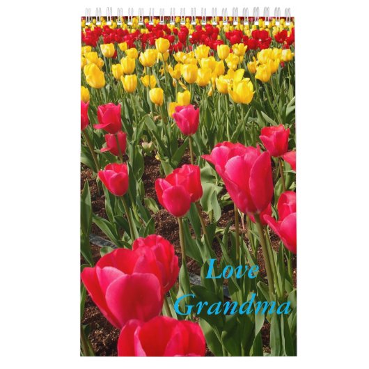 Love Grandma Calendar Kalender (Hoes)