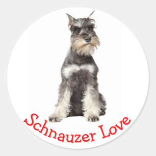 Love Grey Schnauzer Puppy Dog Sticker