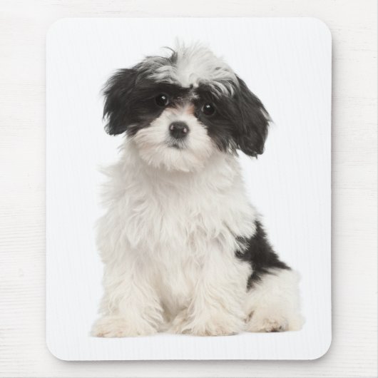 Love Havanese Puppy Dog Mousepad Muismat (Voorkant)