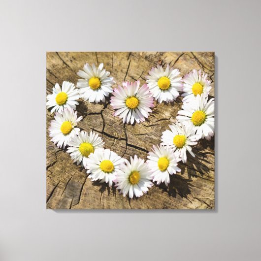 Love Heart Daisies Canvas Afdruk (Voorkant)