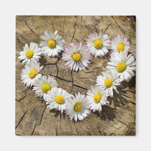 Love Heart Daisies Magneet