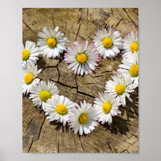 Love Heart Daisies Poster (Voorkant)