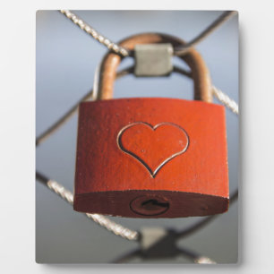 Love Heart Padlock Fotoplaat