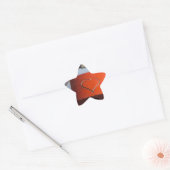 Love Heart Padlock Ster Sticker (Envelop)