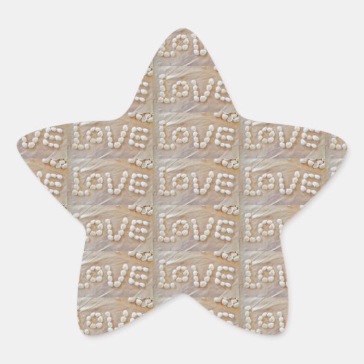 Love Heart Zee Shell Beach Hearts Seashells Summer Ster Sticker (Voorkant)
