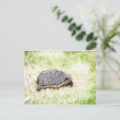 Love Hedégs Briefkaart (Staand voorkant)