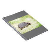 Love Hedégs Notitieboek (Rechterzijde)