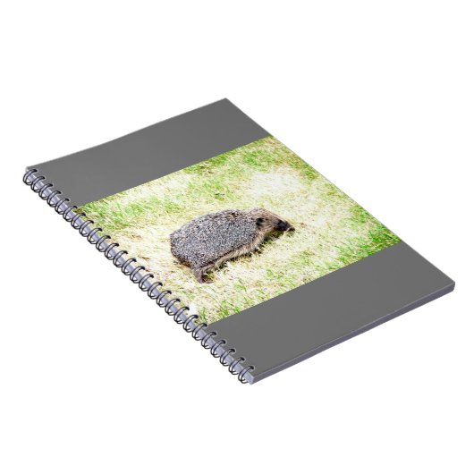 Love Hedégs Notitieboek (Rechterzijde)