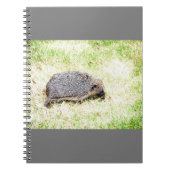 Love Hedégs Notitieboek (Voorkant)