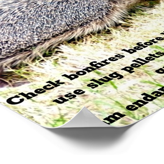 Love Hedégs Poster (Hoek)