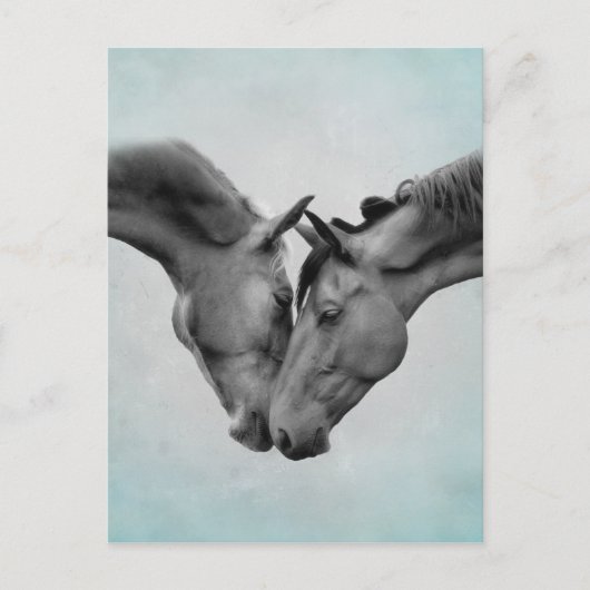 Love Horses Briefkaart (Voorkant)