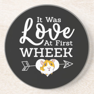 Love in First Wheak Guinee Pig Cavy Roddent Zandsteen Onderzetter