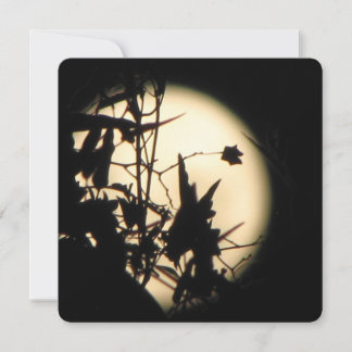 Love in the Moonlight shimmer Kaart