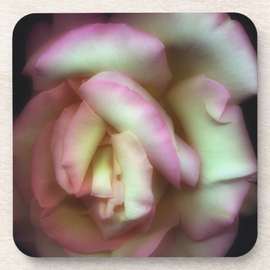 <Love is a Rose>van Nathan Griffith Drankjes Onderzetter (Voorkant)