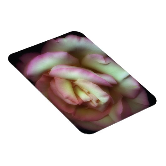 <Love is a Rose>van Nathan Griffith Magneet (Rechterzijde)