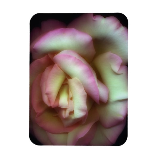 <Love is a Rose>van Nathan Griffith Magneet (Verticaal)