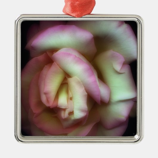 <Love is a Rose>van Nathan Griffith Metalen Ornament (Voorkant)
