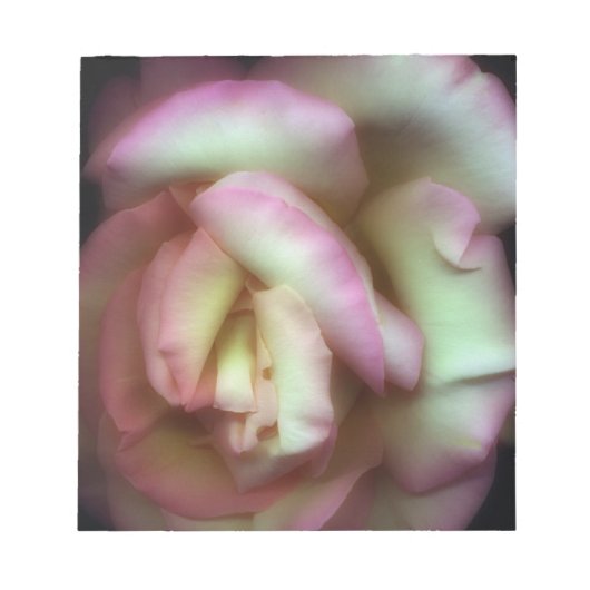 <Love is a Rose>van Nathan Griffith Notitieblok (Voorkant)