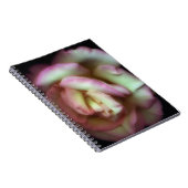 <Love is a Rose>van Nathan Griffith Notitieboek (Rechterzijde)