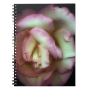 <Love is a Rose>van Nathan Griffith Notitieboek