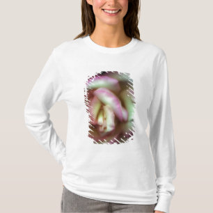 <Love is a Rose>van Nathan Griffith T-shirt