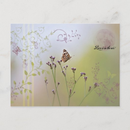 Love Is In The Air! Briefkaart (Voorkant)