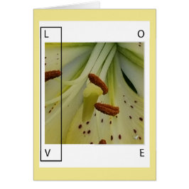 LOVE IS LILY-CHRISTELIJK GREETING
