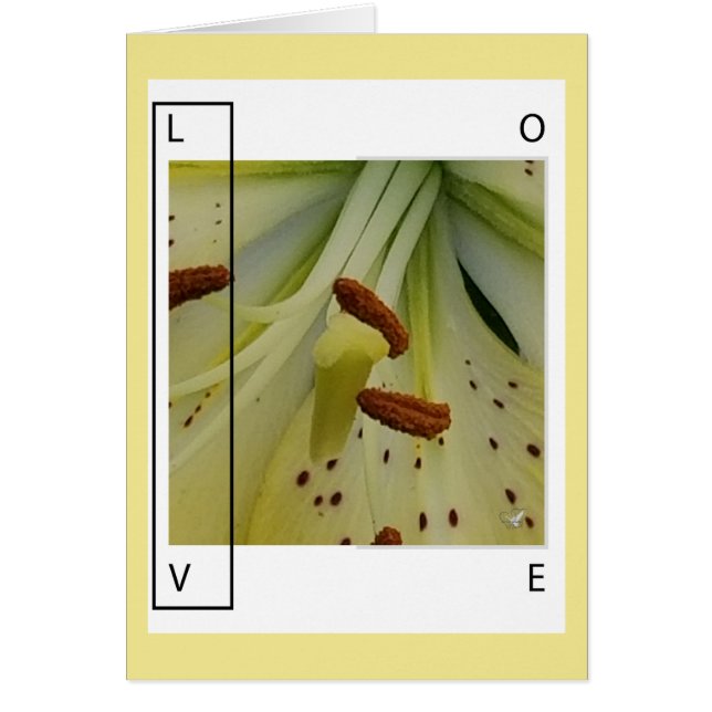 LOVE IS LILY-CHRISTELIJK GREETING (Voorkant)