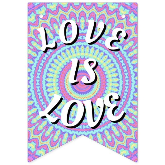 Love Is Love Pride Vlaggetjes (Eerste vlag)