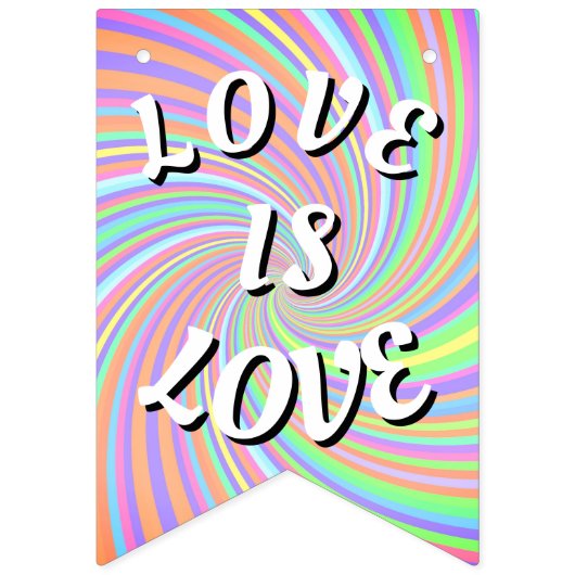Love Is Love Pride Vlaggetjes (Tweede vlag)