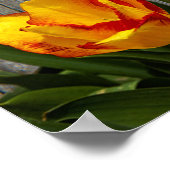 Love is Patient Poster (Hoek)