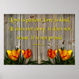 Love is Patient Poster