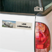 Love Labradoodles Bumpersticker (Op Truck)