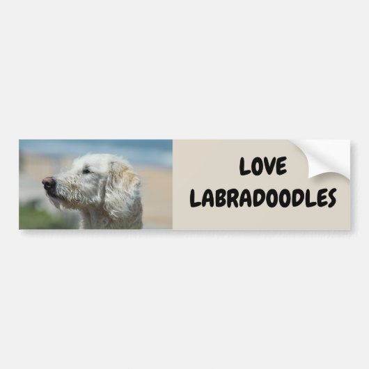 Love Labradoodles Bumpersticker (Voorkant)