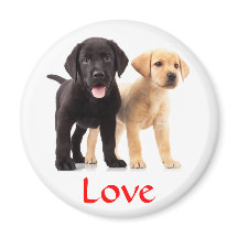 Love Labrador Retriever Puppies Koelkast Magnet