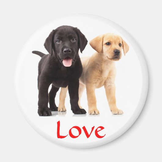 Love Labrador Retriever Puppies Koelkast Magnet (Voorkant)