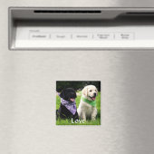 Love Labrador Retriever Puppies Koelkast Magnet (Insitu (Vaatwasser))