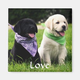 Love Labrador Retriever Puppies Koelkast Magnet