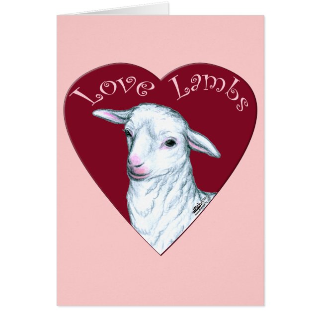 Love Lambs (Voorkant)
