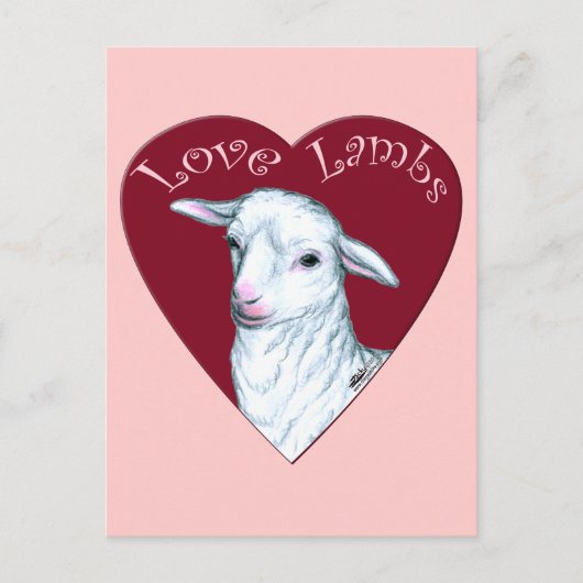 Love Lambs Briefkaart (Voorkant)